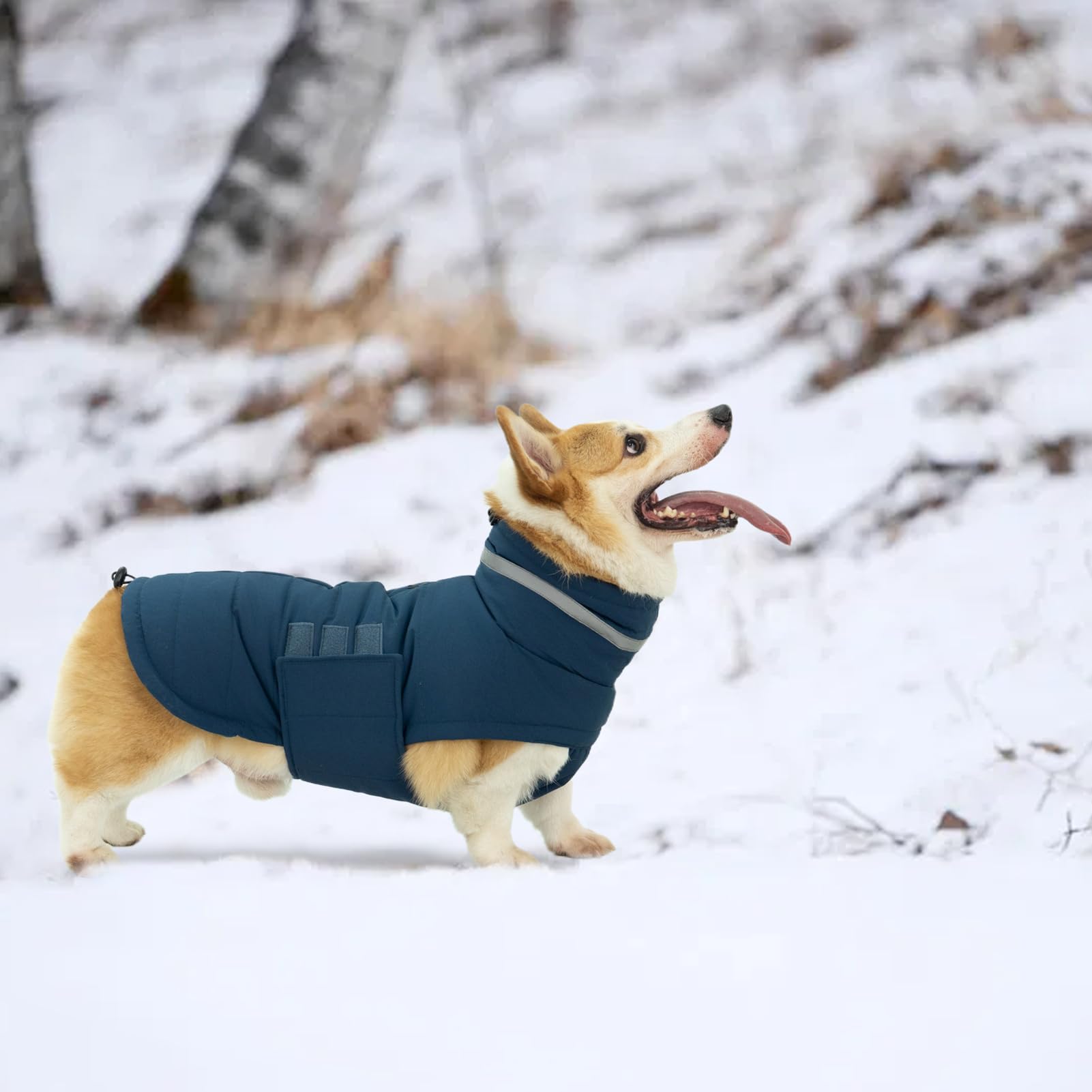 Waterproof & Windproof Dog Winter Coat - Reflective Adjustable Turtleneck Jacket for Small, Medium & Large Dogs | Cold Weather Protection for Outdoor Walks, Snow Adventures & Nighttime Safety