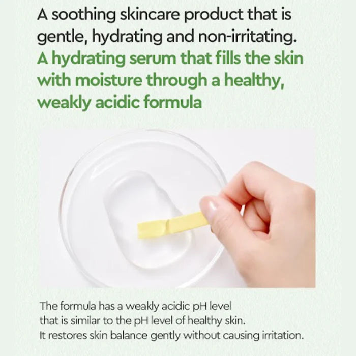 Dewytree Heartleaf 100 Soothing Serum 40ml - Calming Facial Treatment for Sensitive & Acne-Prone Skin | Perfect for Daily Skincare Routine & Post-Procedure Care