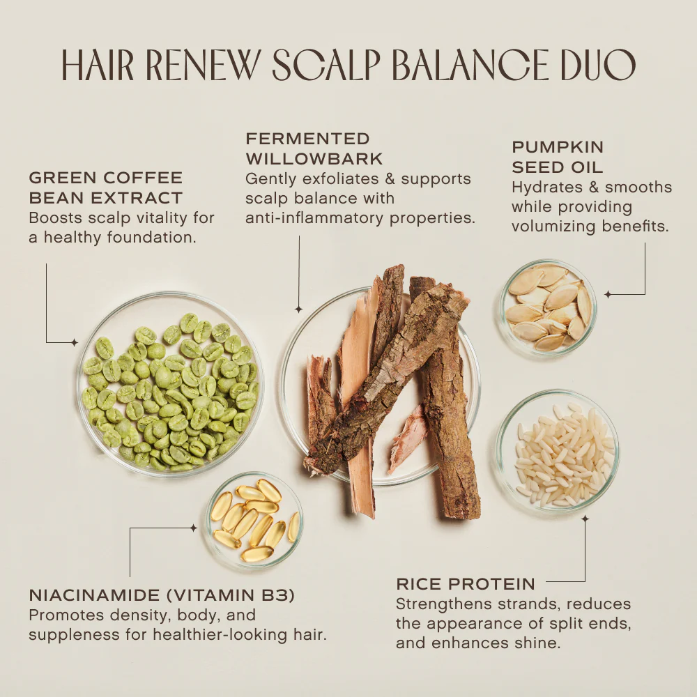 INNERSENSE Organic Beauty Hair Renew Scalp Balance Duo - Organic Shampoo & Conditioner Set for Dry Scalp & Hair Repair - Perfect for Daily Hair Care & Scalp Hydration