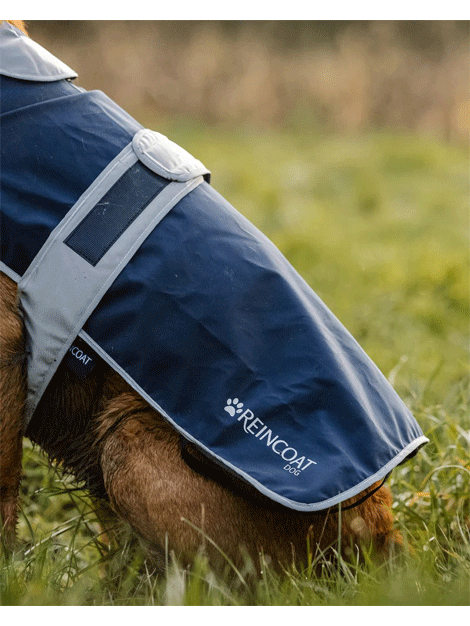 ReinCoat Waterproof Dog Coat for Small Medium Large Dogs - Warm Winter Jacket with Reflective Strips for Outdoor Walking, Hiking & Camping