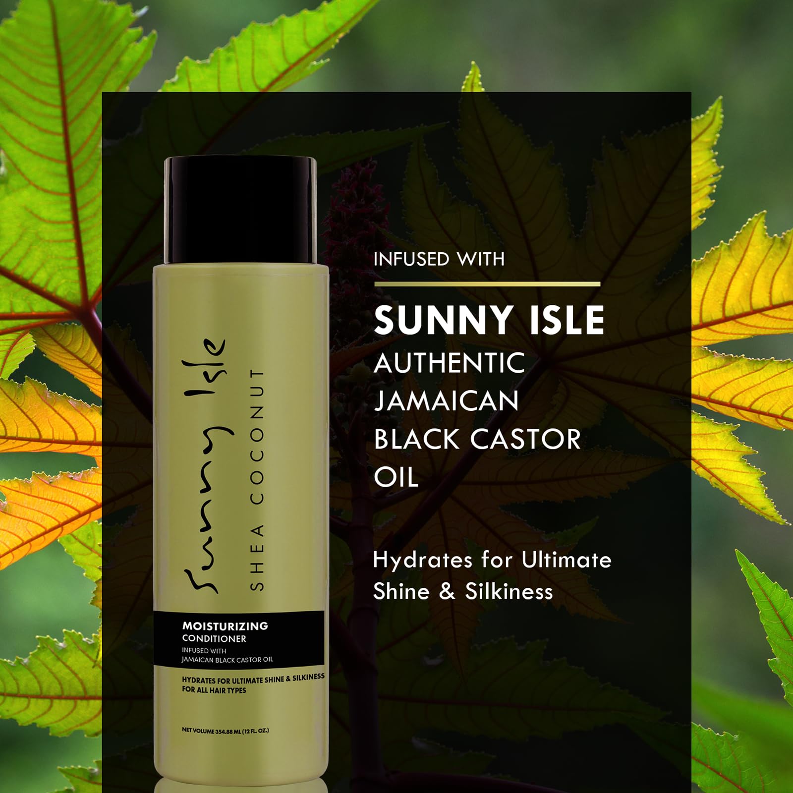 Sunny Isle Shea Coconut Moisturizing Shampoo & Conditioner Set 12oz | Jamaican Black Castor Oil for Curly Hair Care | Hydrating Formula for Dry Curls, Waves, Coils | Silicone, Paraben & Sulfate Free | Perfect for Daily Hair Hydration & Natural Curl Definition