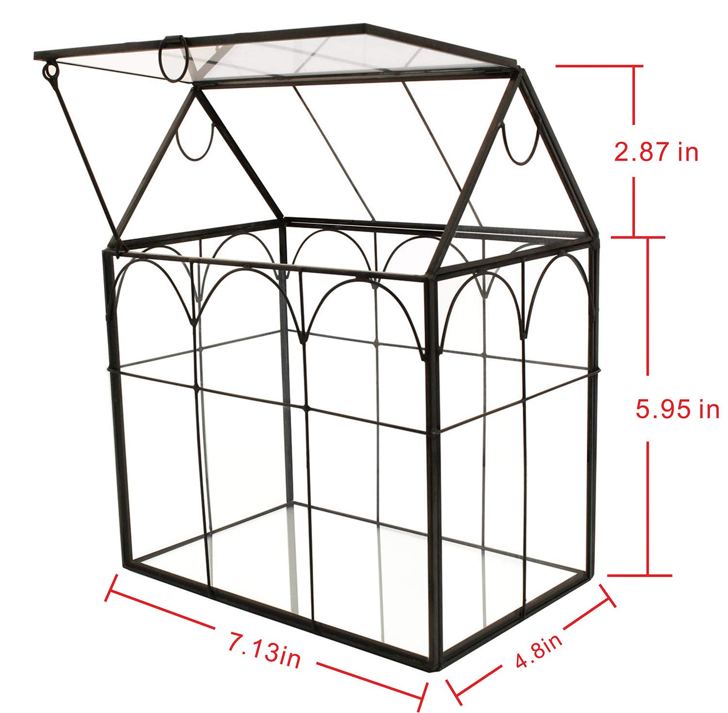 Glass Geometric Plant Terrarium for Succulents & Air Plants - Modern Home, Office & Garden Decor (Black) | Perfect for Indoor Plant Display, Wedding Centerpieces & Gift Ideas