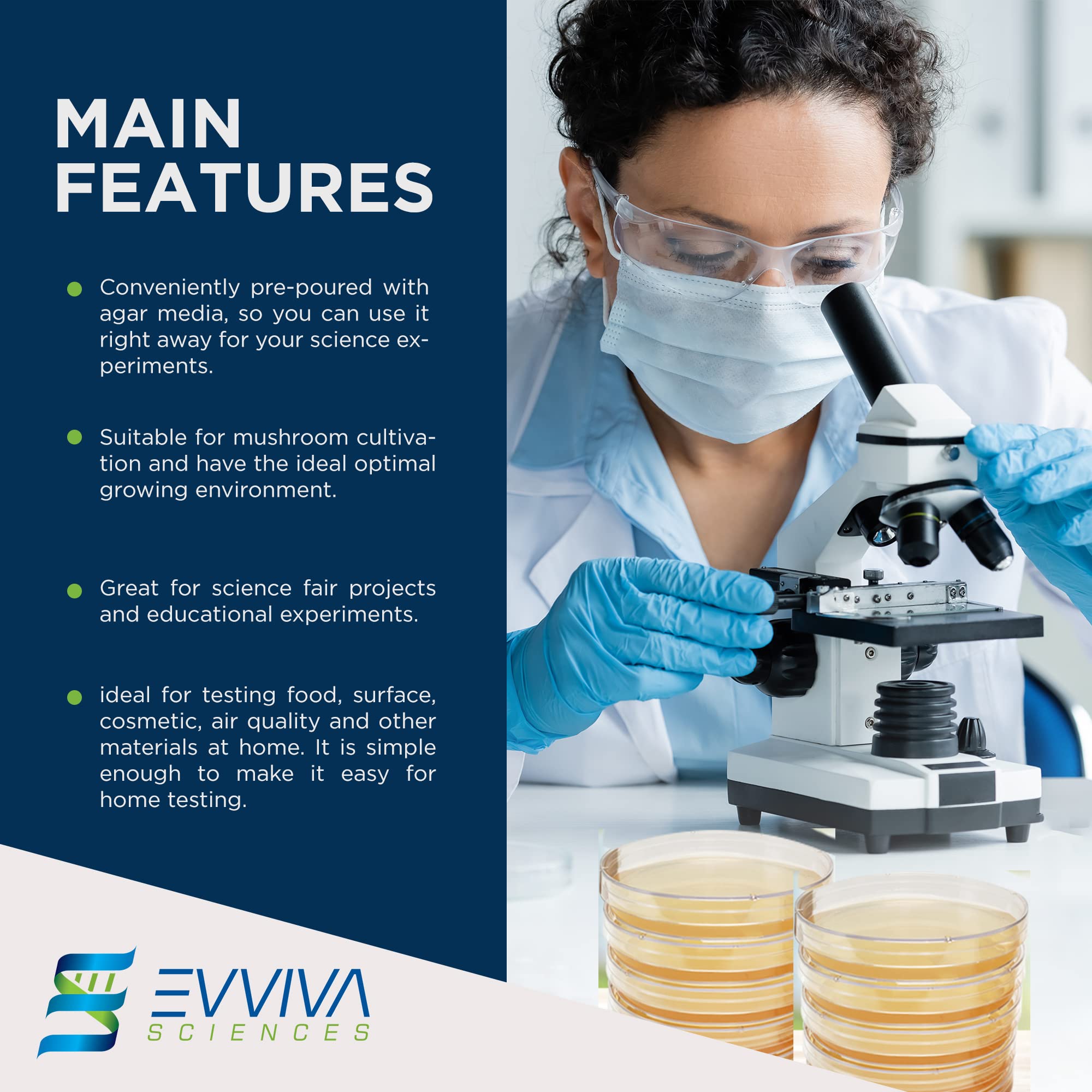 Evviva Sciences Potato Dextrose Agar Petri Dishes - Prepoured PDA for Mushroom Cultivation, Home Science Experiments & School Projects - Ready-to-Use Petri Dishes with Agar for Lab Testing & Mycology Studies