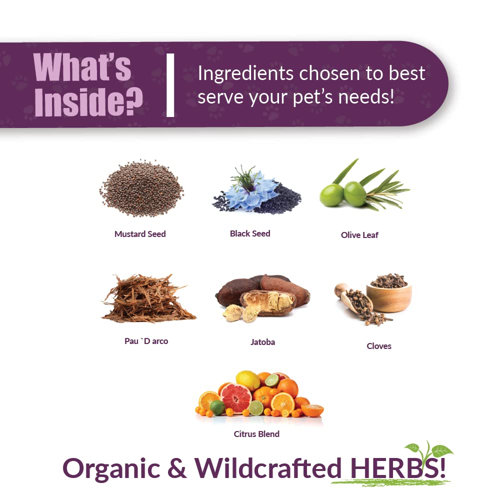 AMBER NATURALZ Kochi Free Herbal Pet Supplement for Dogs, Cats, Birds, Guinea Pigs & Rabbits | Natural Digestive Support for Healthy Stool | 4oz Glass Bottle | Made in USA | Supports Digestive Health for Small Pets at Home or Travel