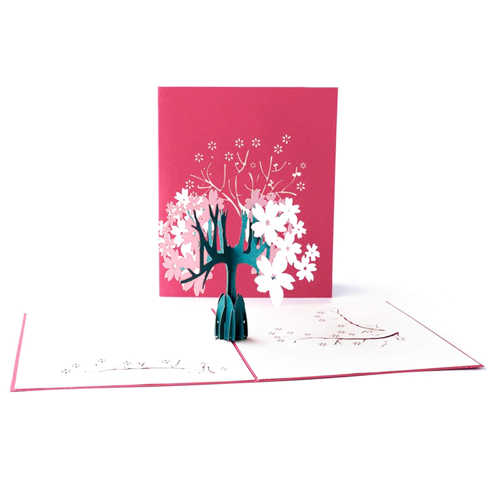 3D Greeting Cards for Women - Christmas, Anniversary, Birthday, Wedding & Baby Shower | Unique Camping-Themed Gift Box Set | Perfect for Home Decor, Holiday Gifts & Special Occasions