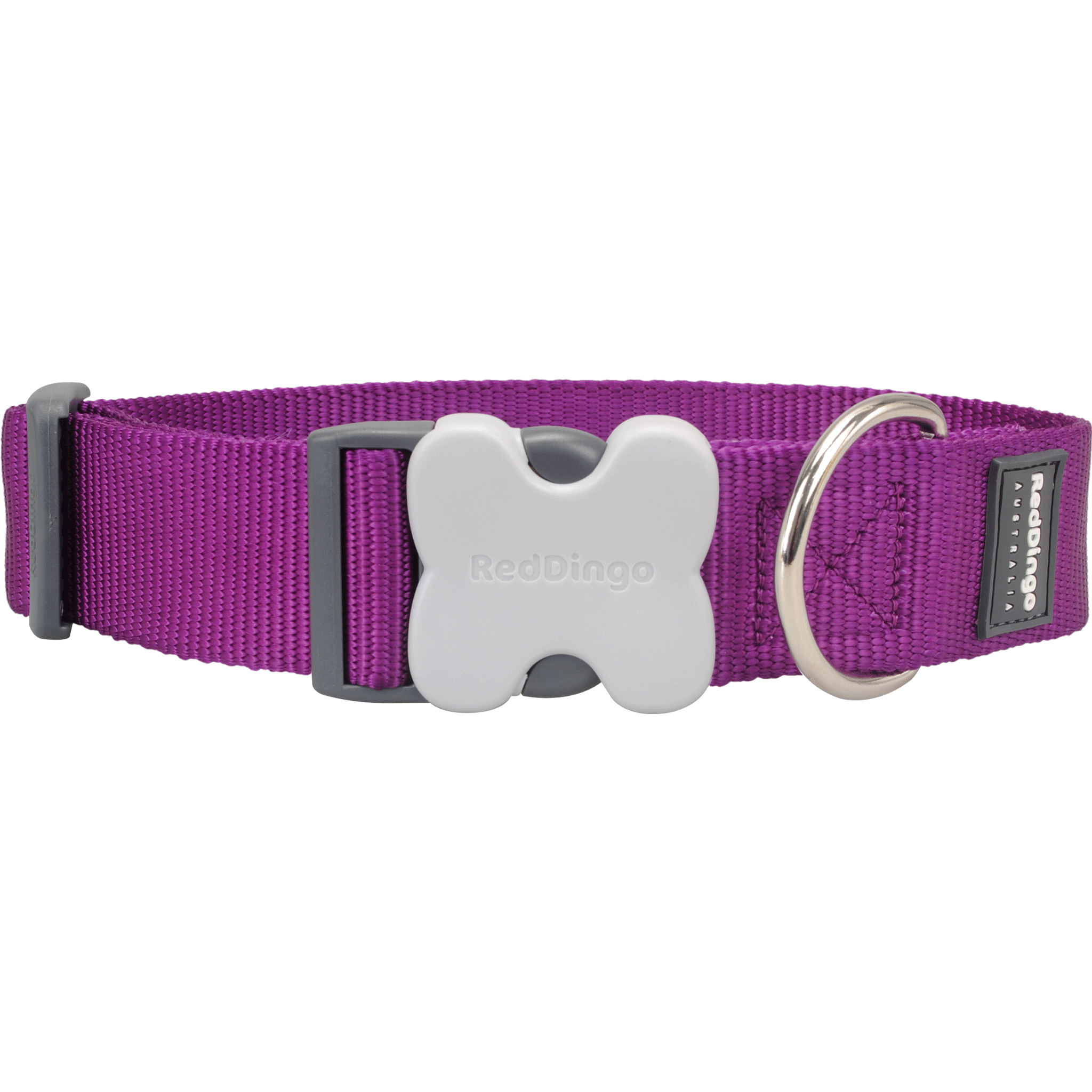 Red Dingo Purple Bucklebone Classic Dog Collar - Durable Nylon Pet Collar with Metal Buckle for Small Medium Large Dogs - Perfect for Walking, Training & Outdoor Adventures