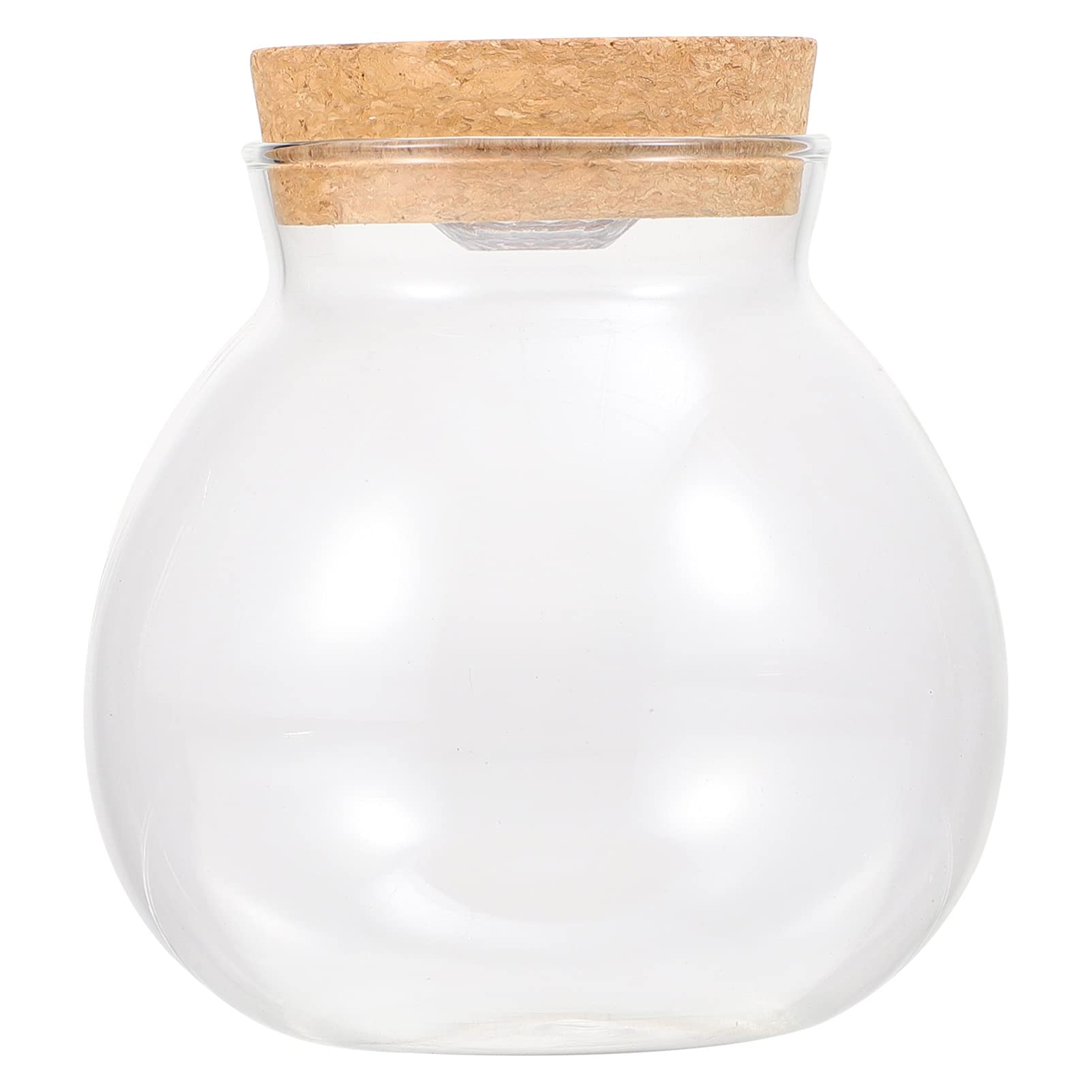 Alipis Small Glass Terrarium Bottle with LED Light - Clear Round Empty Glass Jar for DIY Terrarium, Fish Tank, or Home Decoration | Perfect for Indoor Plants, Succulents, and Miniature Gardens
