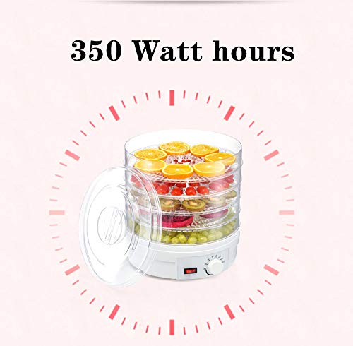 110V AnEssOil Food Dehydrator - Stainless Steel Electric Drying Machine for Fruits, Vegetables, Herbs & Meat | Healthy Snacks Maker for Home, Camping & Food Preservation
