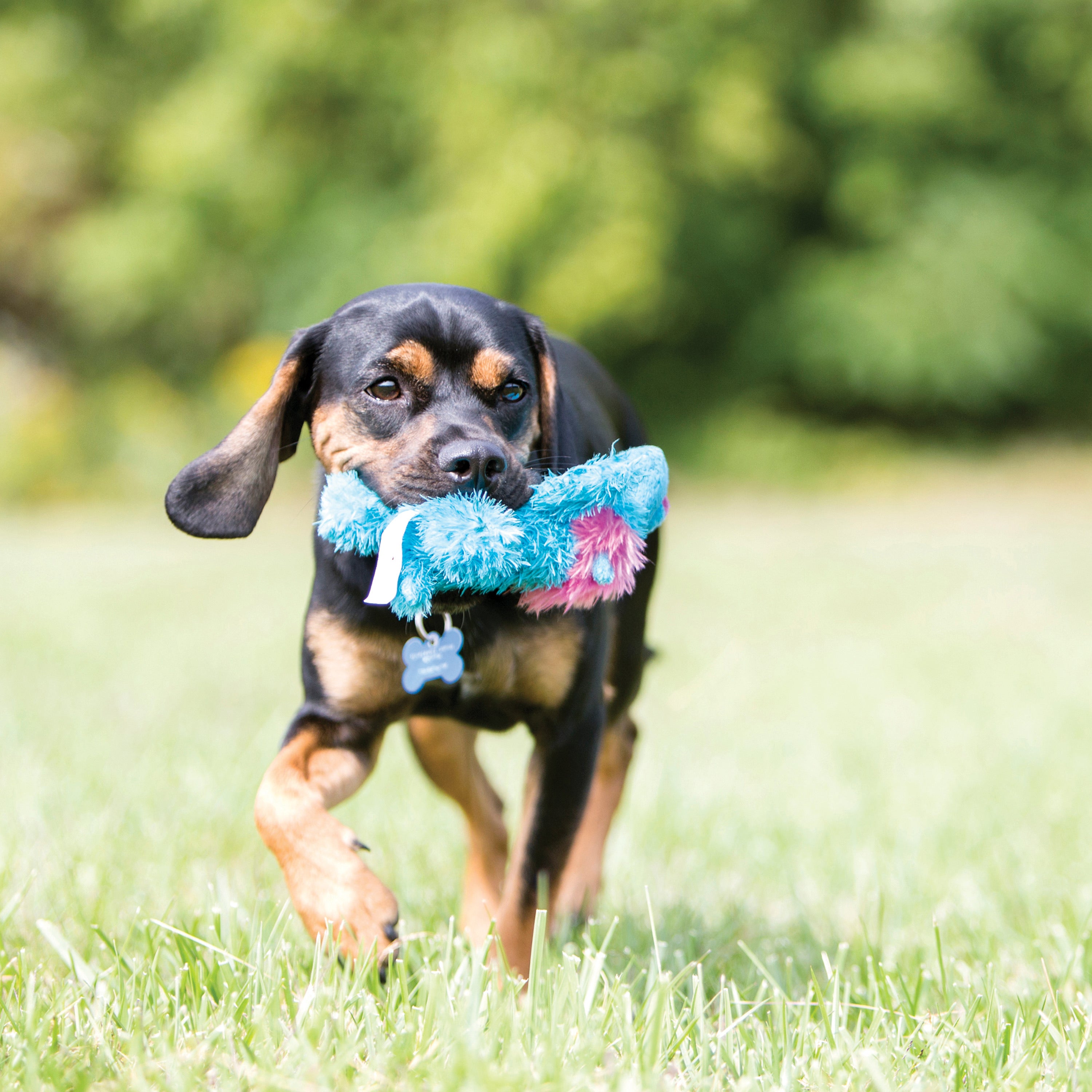 KONG Cozie Elmer Plush Dog Toy - Soft & Durable Chew Toy for Small & Medium Dogs - Perfect for Playtime, Training & Cuddling at Home or Outdoors