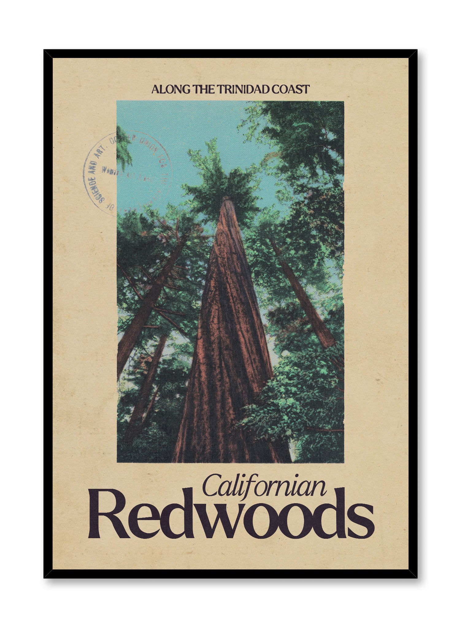 California Redwood Forest Poster - Stunning Nature Wall Art for Home, Office & Classroom Decor