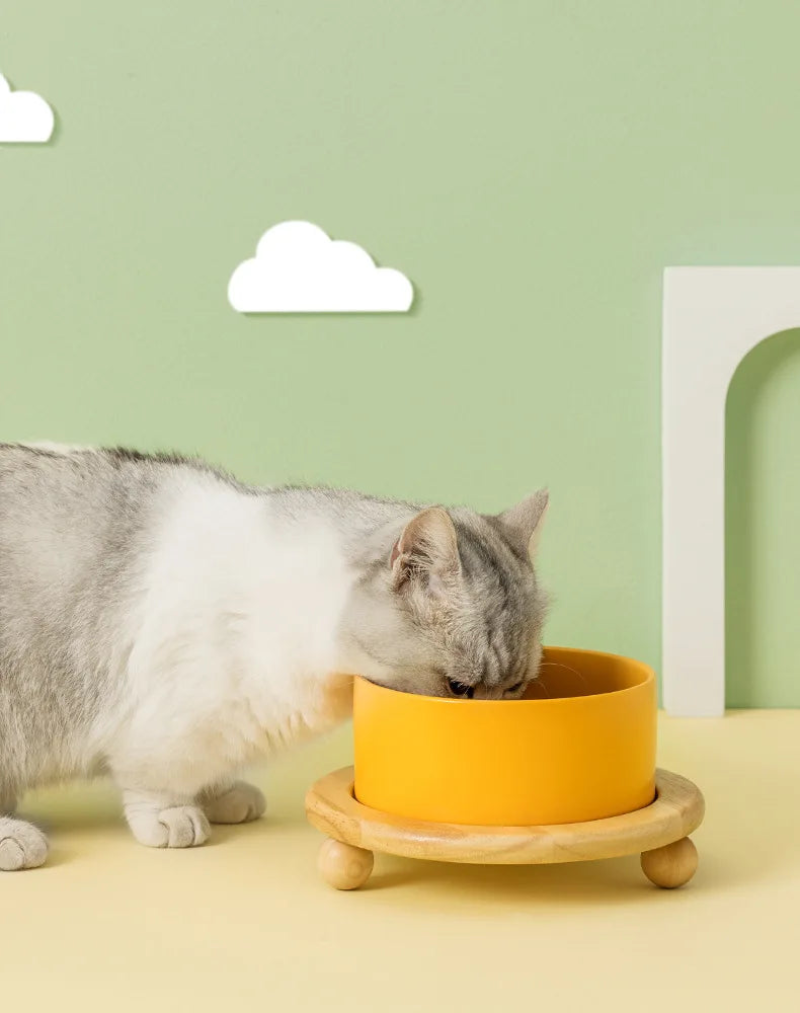 Premium Whisker Wood Pet Feeding Bowl for Cats & Dogs - Eco-Friendly, Non-Slip, Durable Raised Dog & Cat Food Dish - Perfect for Home, Travel, and Outdoor Use