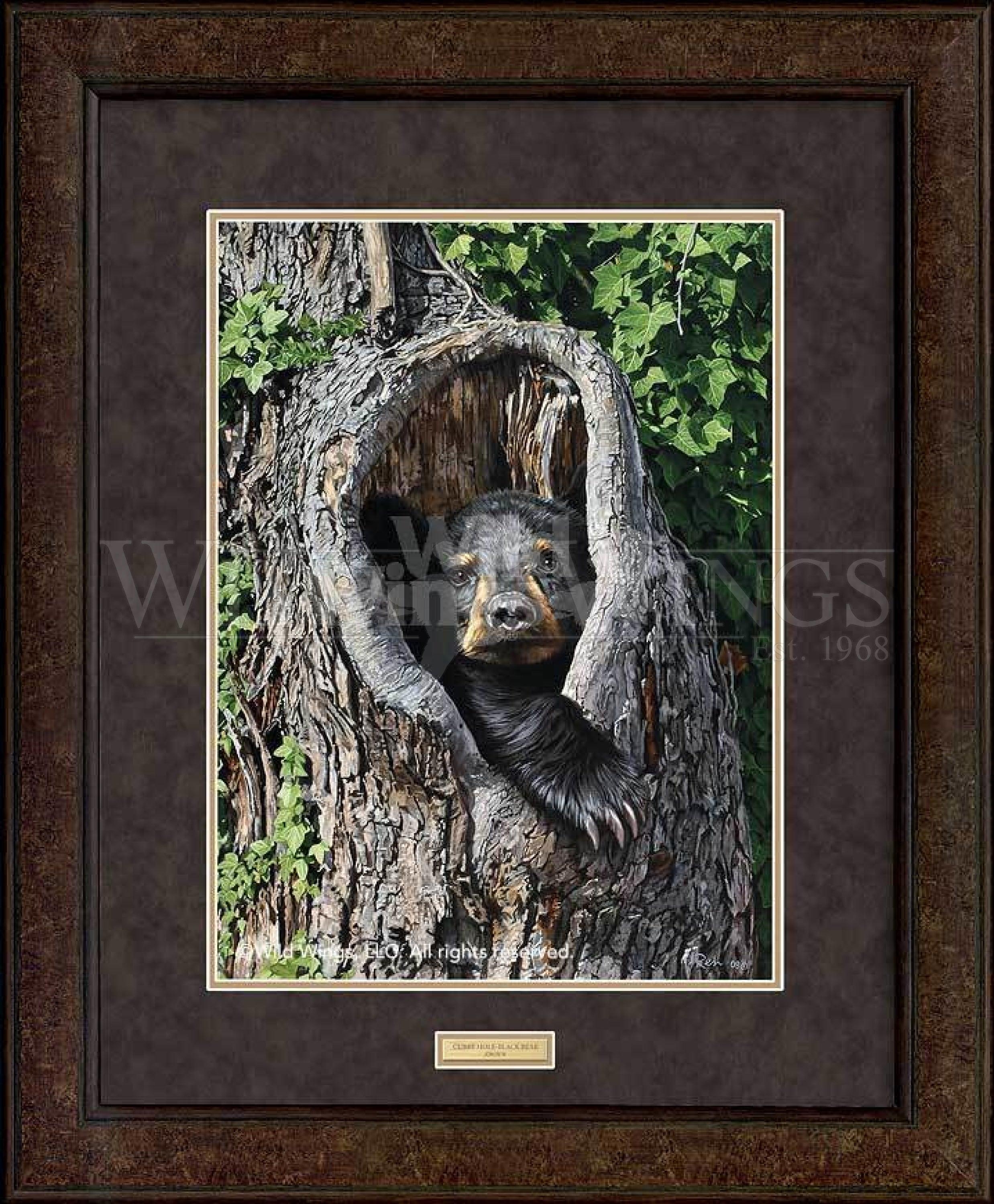GNA Premium Print - Black Bear Cubby Hole Wall Art for Nursery, Kids Room & Cabin Decor