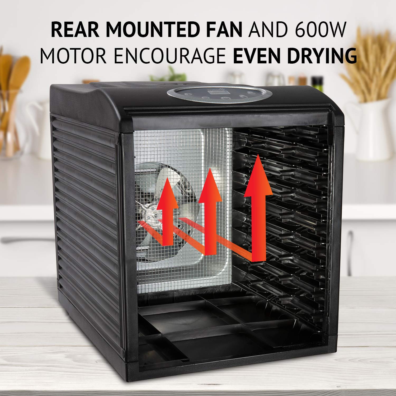 Ivation 9-Tray Digital Food Dehydrator | 600W Countertop Drying Machine with Adjustable Temperature & Timer | Perfect for Beef Jerky, Fruits, Vegetables & Nuts | Ideal for Home Kitchen, Camping & Healthy Snack Preparation