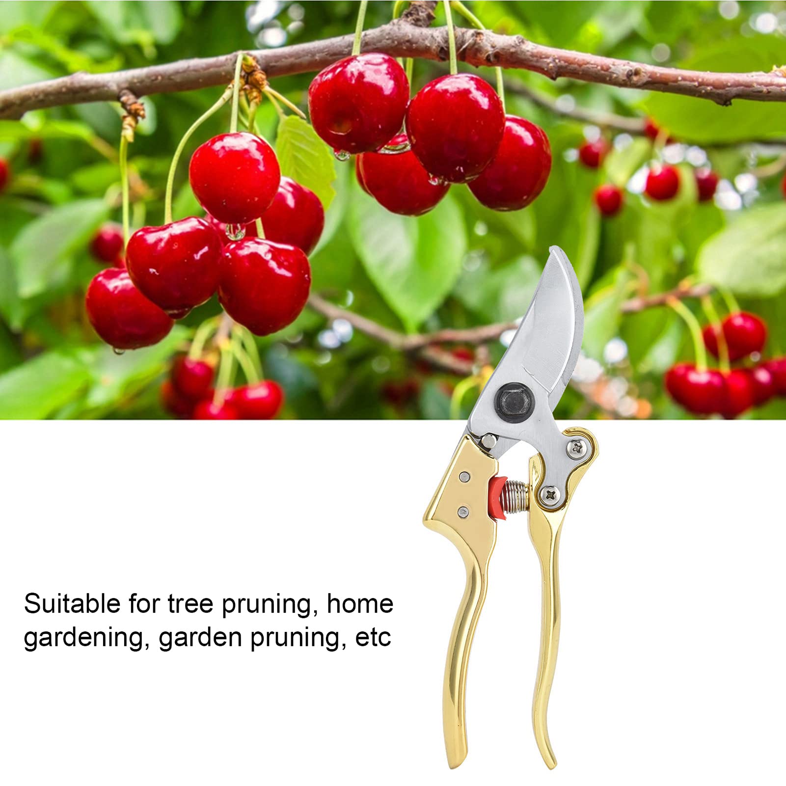 Premium Garden Pruners - Sharp Bypass Pruning Shears for Trees, Plants & Flowers - Ergonomic Gardening Shears for Effortless Branch Trimming (Ideal for Fruit Trees, Rose Bushes & Landscaping)