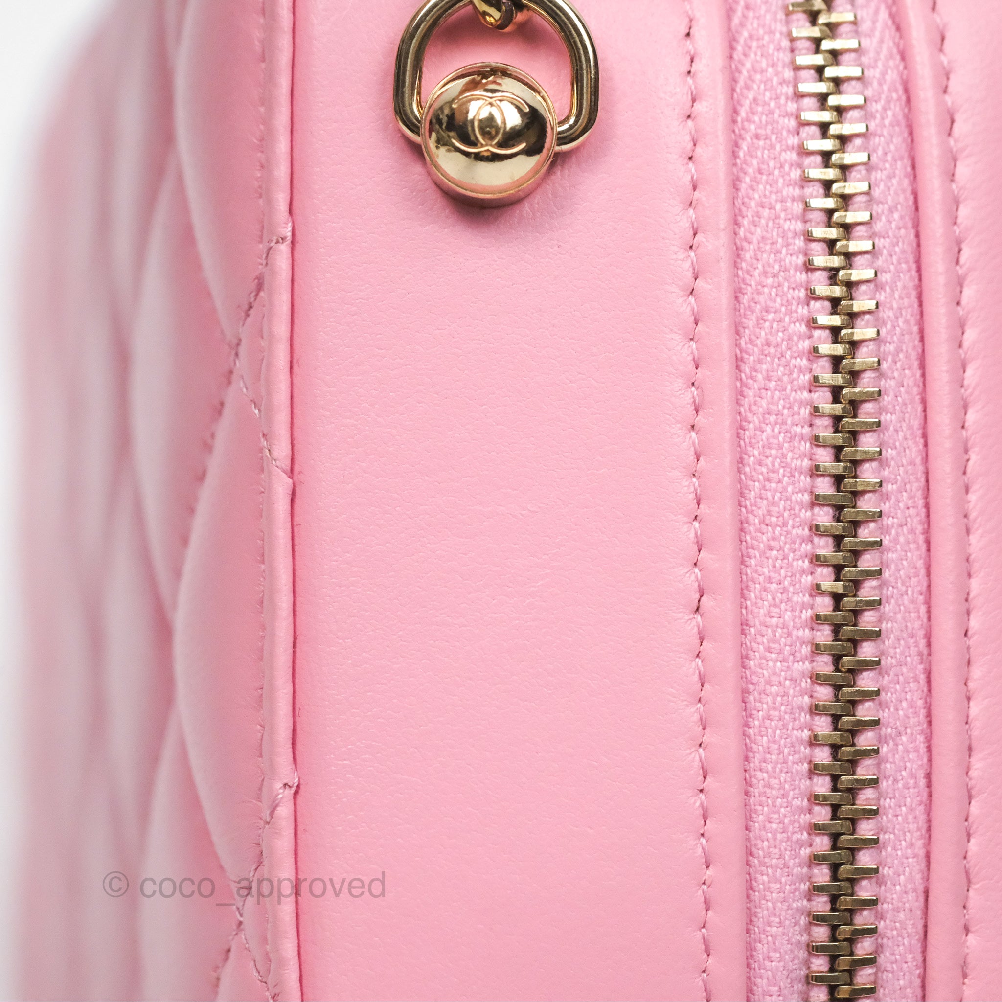 Chanel Quilted Lambskin Camera Bag in Pink with Gold Hardware - Perfect for Everyday Use & Special Occasions
