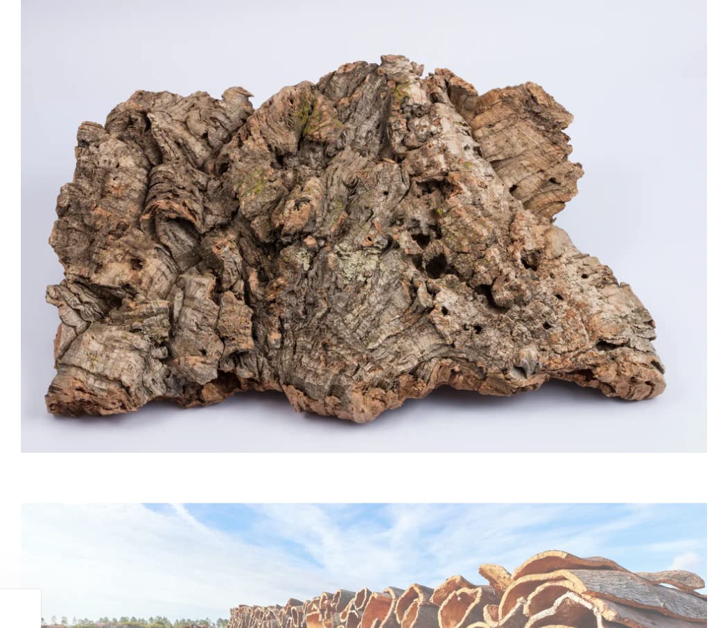 Premium Bulk Cork Bark Flats - Natural & Eco-Friendly (20 lbs) - Perfect for Reptile Habitats, Terrariums, and DIY Craft Projects