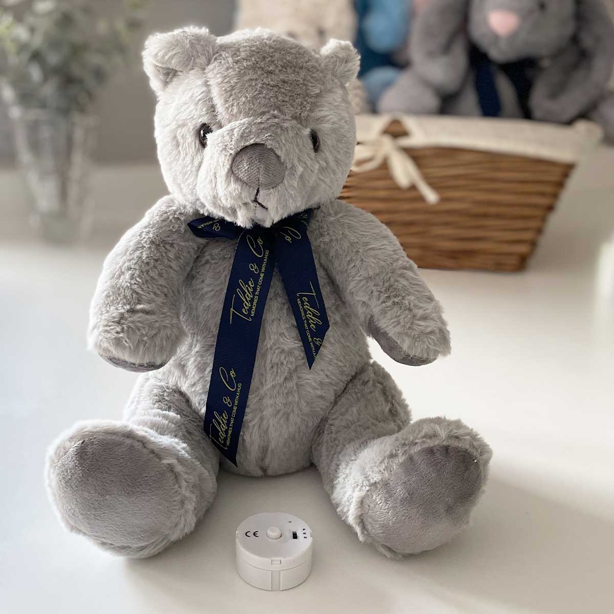 Grey Teddy Bear with Voice Recorder - Record & Playback Your Voice - Perfect for Gifts, Kids, and Special Occasions
