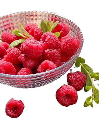 Organic Heirloom Raspberries - Fresh Frozen Antioxidant Superfruit - 9 lbs for Smoothies, Pies, Jams & Syrups | Healthy Diet Snack | Perfect for Baking, Breakfast Bowls & Desserts