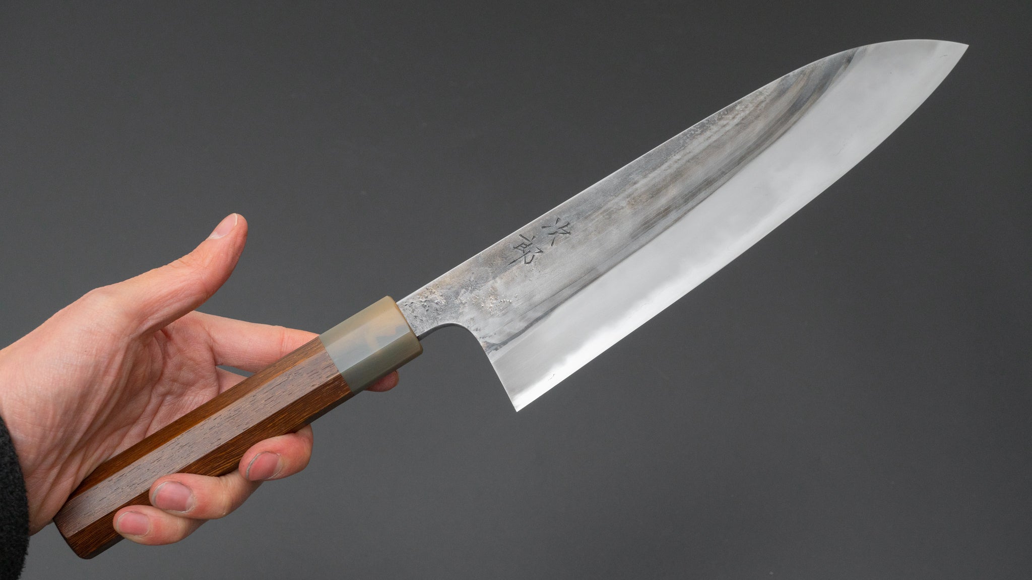 Premium Jiro Tsuchime Wa Gyuto 225mm Japanese Chef Knife with Taihei Tagayasan Handle - Perfect for Sushi, Meat Slicing & Professional Kitchen Use