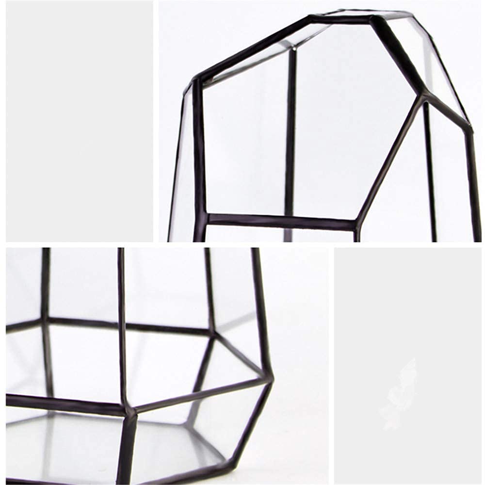 Geometric Glass Terrarium Planter for Cacti & Succulents - Irregular Tabletop Container (6.5x5.7x9.8 Inches) - Modern Home, Office & Garden Decor - Perfect for Indoor Plants, Desk Decor & Gift Ideas