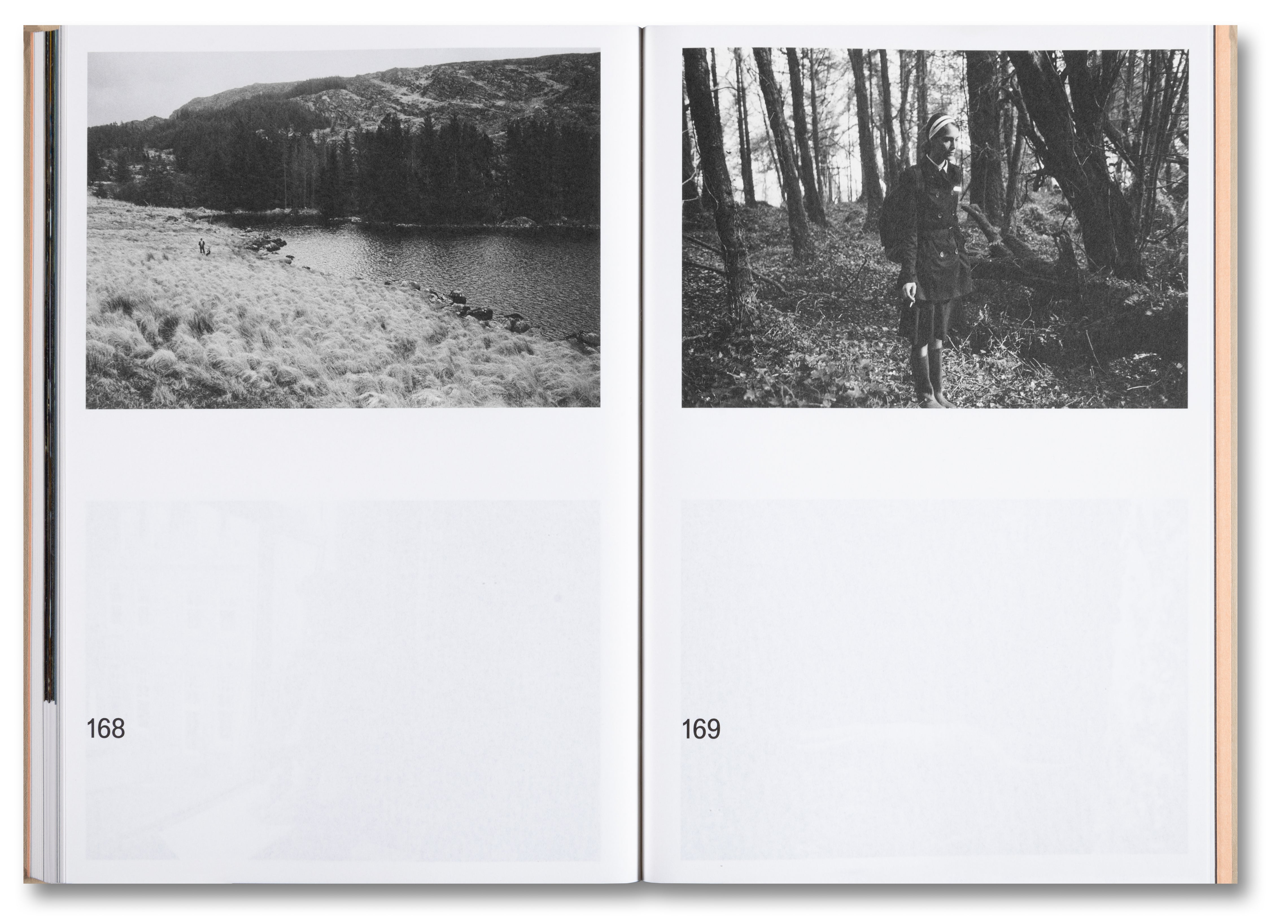 The Lobster Screenplay by Yorgos Lanthimos & Efthymis Filippou - A24 Hardcover Edition | Perfect for Film Students, Screenwriters & Movie Collectors