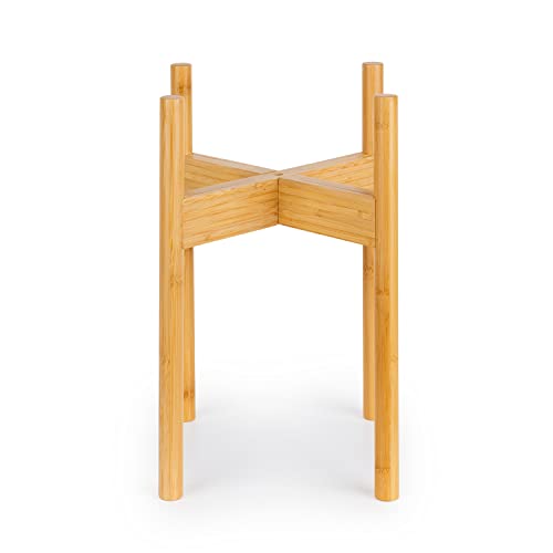 Bamboo