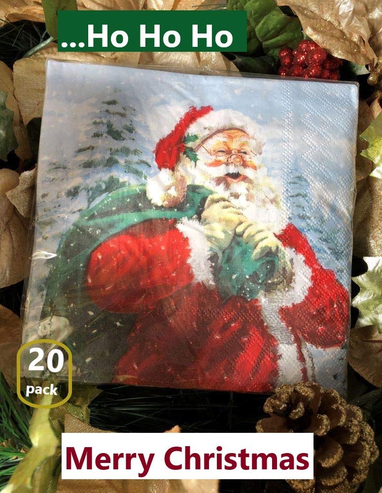 24-Ply Santa Angel Napkins - 13