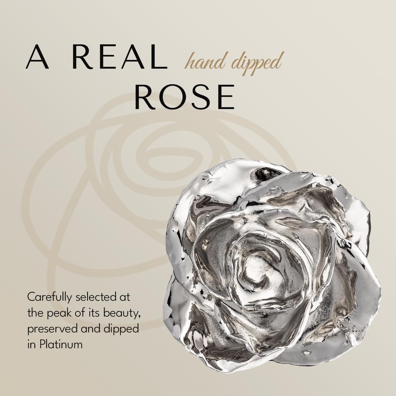 Forever Rose Real Platinum Dipped Rose – Genuine Handcrafted Everlasting Flower, Unique Romantic Gift for Women & Men – Perfect for Anniversaries, Weddings & Valentine's Day