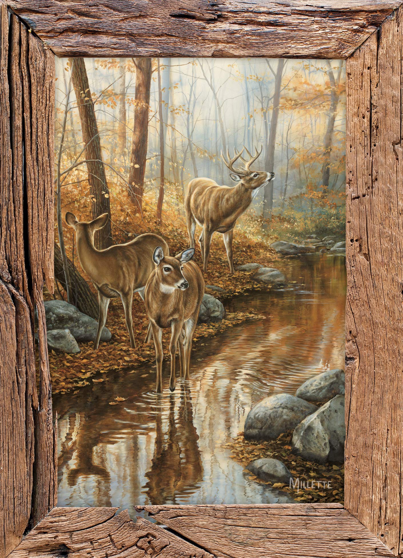 HTL Birthday Greeting Cards - Box of 12 Whitetail Deer Design | Perfect for Birthday Wishes, Thank You Cards & Special Occasions