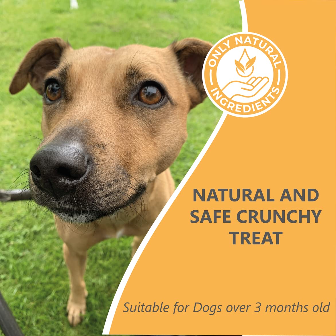 Premium Air-Dried Chicken Feet Dog Treats 1KG - All-Natural Chews for Puppies, Adult & Senior Dogs - Grain-Free, Gluten-Free, Hypoallergenic Raw Snack - Perfect for Dental Health, Training Rewards & Anxiety Relief