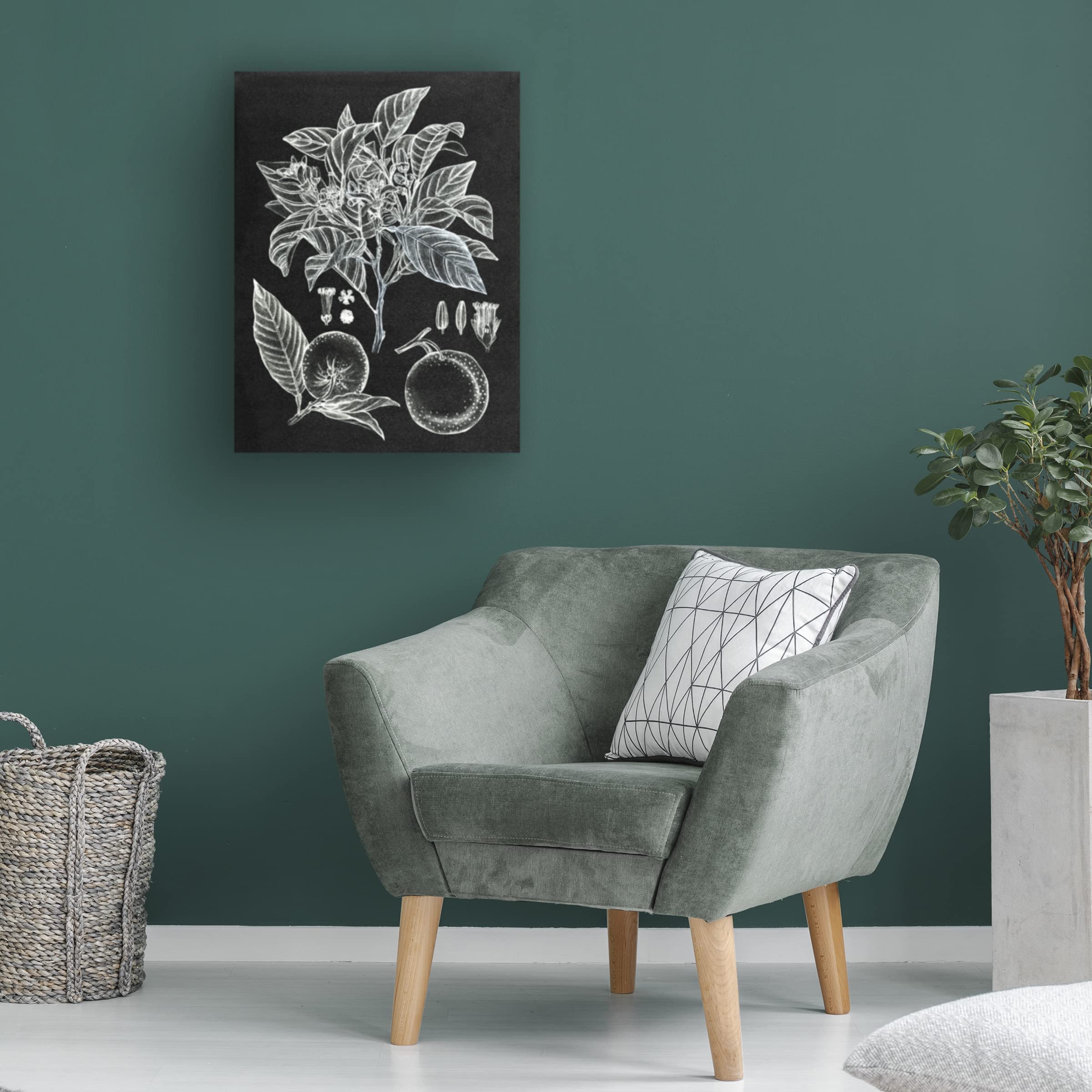 Trademark Fine Art 'Citrus Botanical Study II' Canvas Wall Art Print by Melissa Wang - Vibrant Kitchen Decor & Dining Room Wall Decor