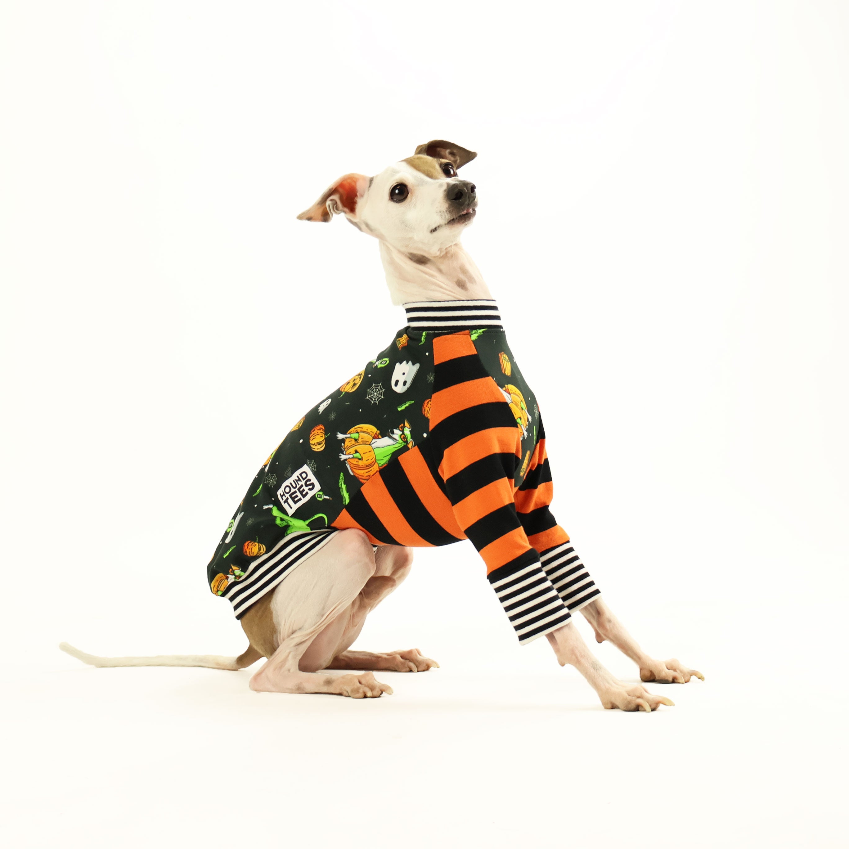 Pumpkin Head Italian Greyhound Long Sleeve T-Shirt - Cute Dog Lover Apparel for Fall & Halloween Outfits