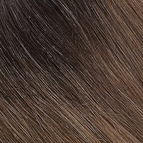 #2T6 Dark Brown Ombre Light Brown