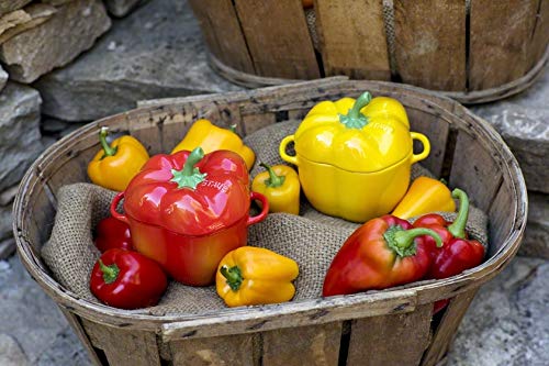 STAUB Zwilling Ceramic by Paprika Cocotte - Yellow Ceramic Dutch Oven, 4.2