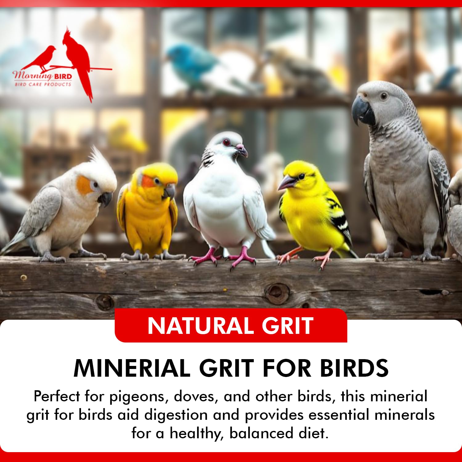 Morning Bird Pigeon Grit - Premium Natural Mineral Supplement for All Bird Species | Supports Strong Muscles & Bones | Easy to Digest Nutritious Bird Food (1.5 lbs) - Ideal for Pigeons, Doves, Parrots & Backyard Birds