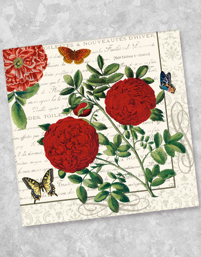 Bella Rosa Beverage Napkins - 40 Count Premium Cocktail Napkins for Parties, Weddings & Home Entertaining - Absorbent & Decorative Paper Napkins for Drinks, Wine & Cocktail Events