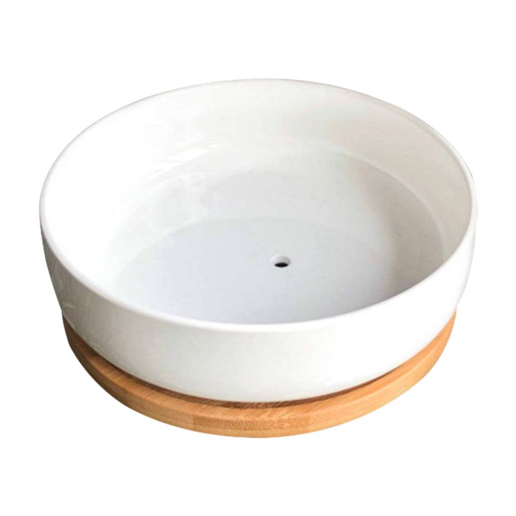Modern White Ceramic Square Succulent Planter with Bamboo Tray - Stylish Home Decor for Cactus, Small Plants in Living Room, Office Desk or Windowsill