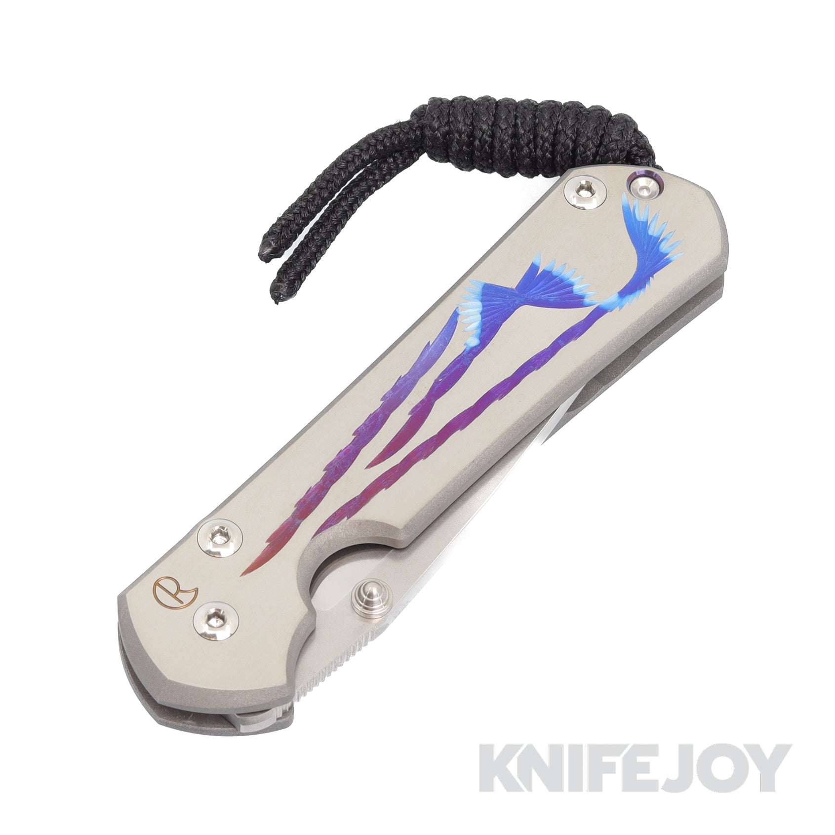 Chris Reeve Knives Small Sebenza 31 Drop Point Magnacut Blade - Premium Titanium Handles, Unique Design for EDC & Outdoor Use