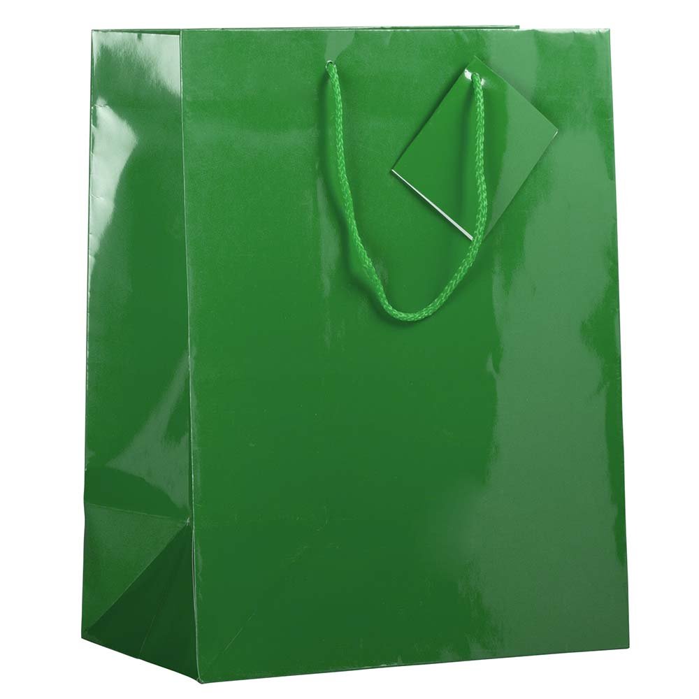 JAM PAPER Glossy Green Gift Bags with Rope Handles - 10