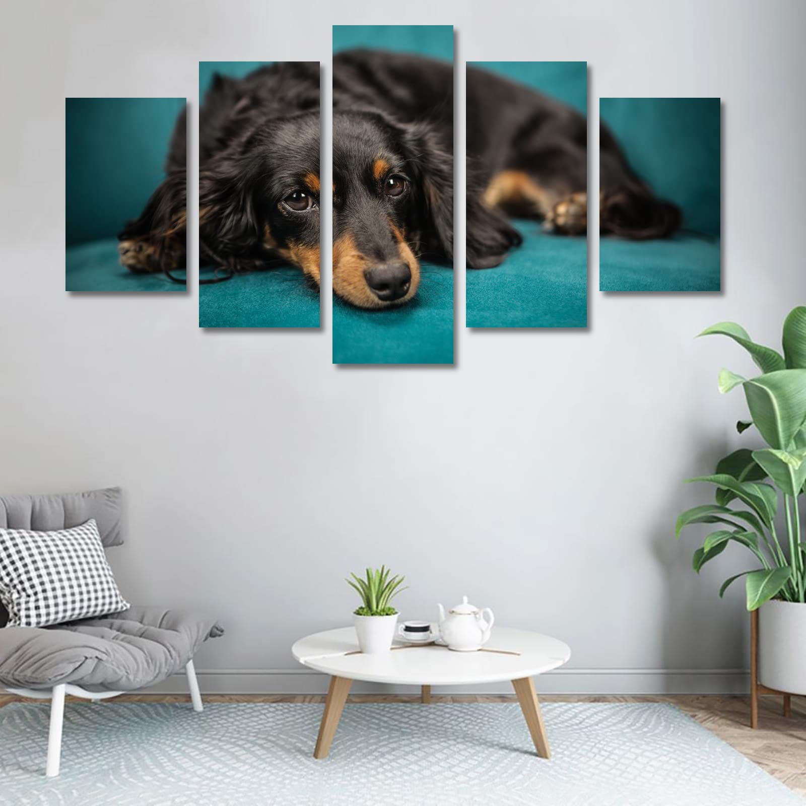 Dachshund Dog Canvas Wall Art - 5 Piece Framed Set, 50