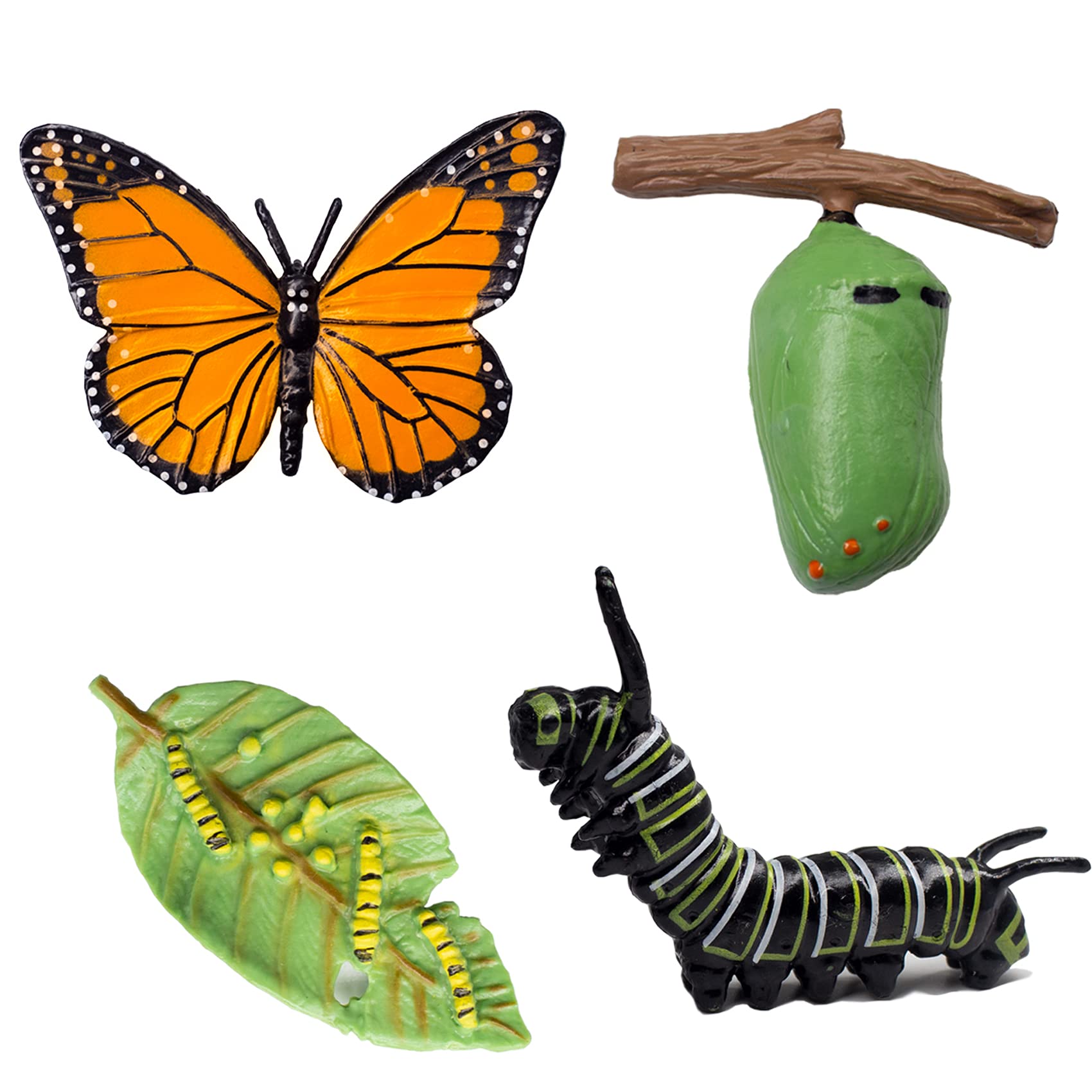 Jackdragon Realistic Monarch Butterfly Life Cycle Kit - Educational Science Toys, Plastic Caterpillar to Butterfly Growth Model for Classroom Teaching & Homeschool Learning | Perfect for Biology Lessons, Nature Exploration & STEM Education