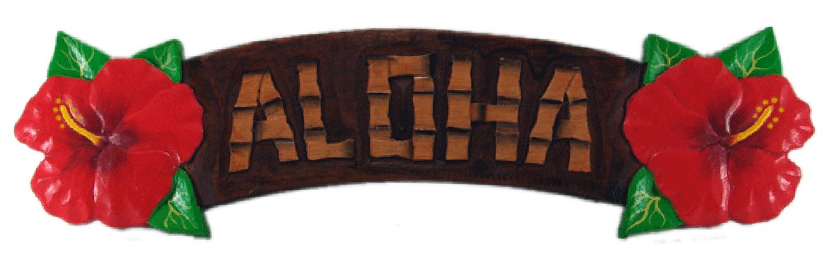 Hand Carved & Painted Wooden Aloha Hibiscus Sign - Hawaiian Wall Decor for Home, Office, or Beach House - Perfect for Tropical Themed Rooms, Luau Parties & Island Style Gifts