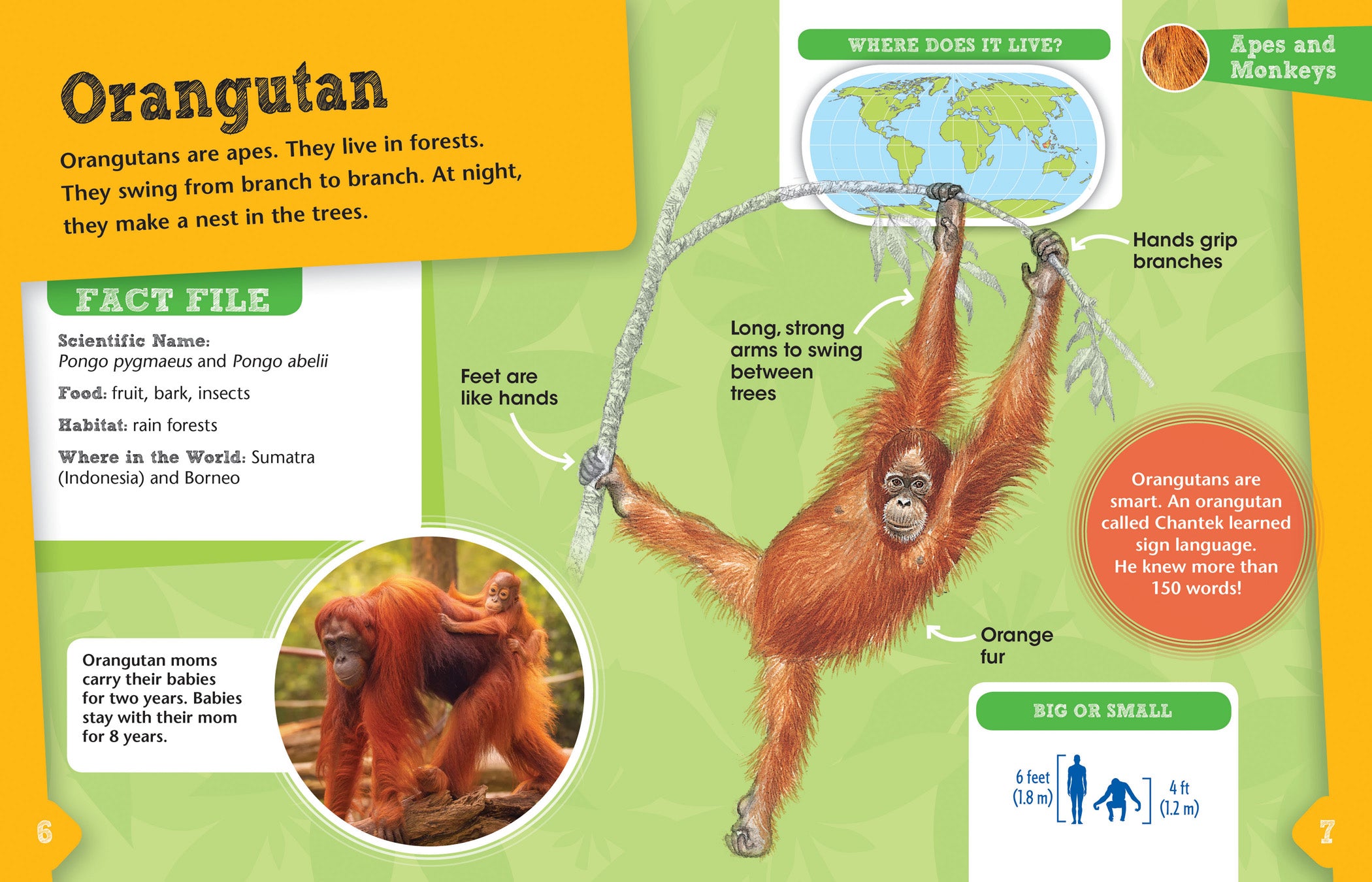 Funny Apes and Monkeys Animal Detective Toys - Perfect for Kids' Pretend Play and Educational Role-Playing Games
