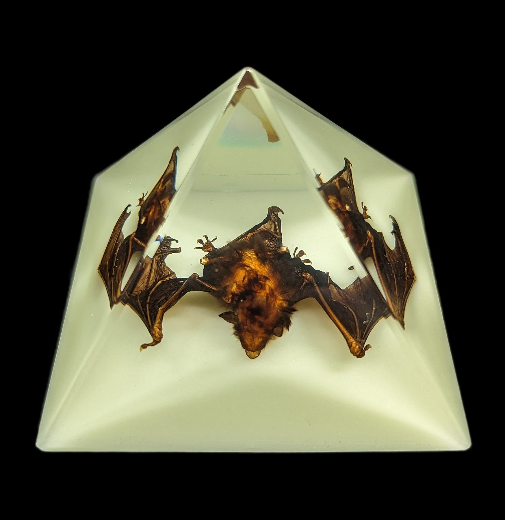 Glow in the Dark Bat Pyramid - Halloween Decorations, Spooky Party Supplies, Unique Night Light for Kids Room & Outdoor Garden Decor - Perfect for Halloween Parties, Bedroom Nightlight, and Themed Events
