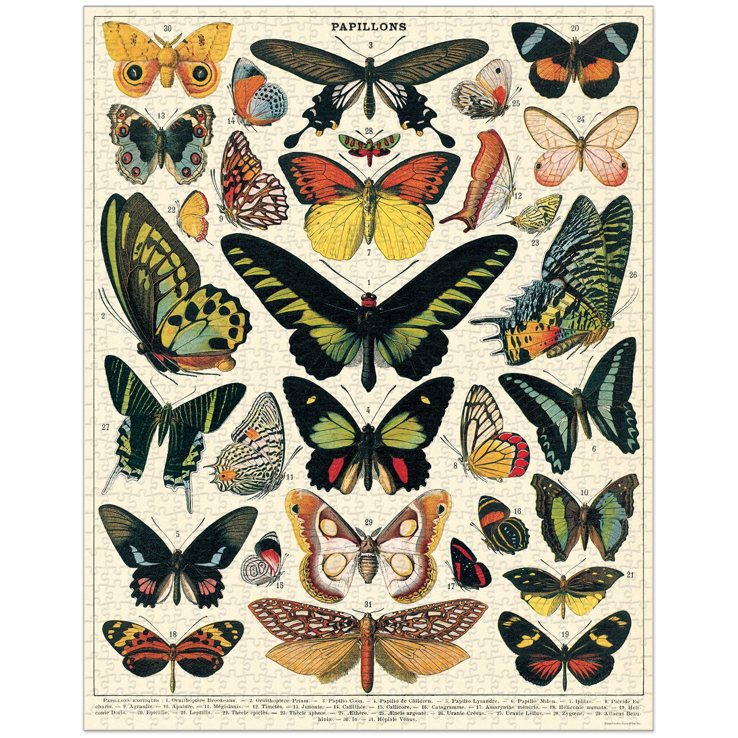 Butterflies Jigsaw Puzzle for Adults - 1000 Piece Colorful Butterfly Puzzle - Perfect for Relaxation, Stress Relief & Home Decor