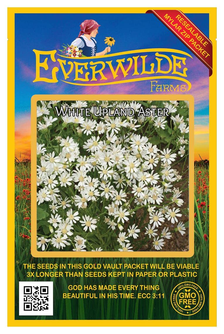 Everwilde Farms - 2000 White Upland Aster Native Wildflower Seeds - Gold Vault Jumbo Seed Packet for Pollinator Gardens & Natural Landscaping