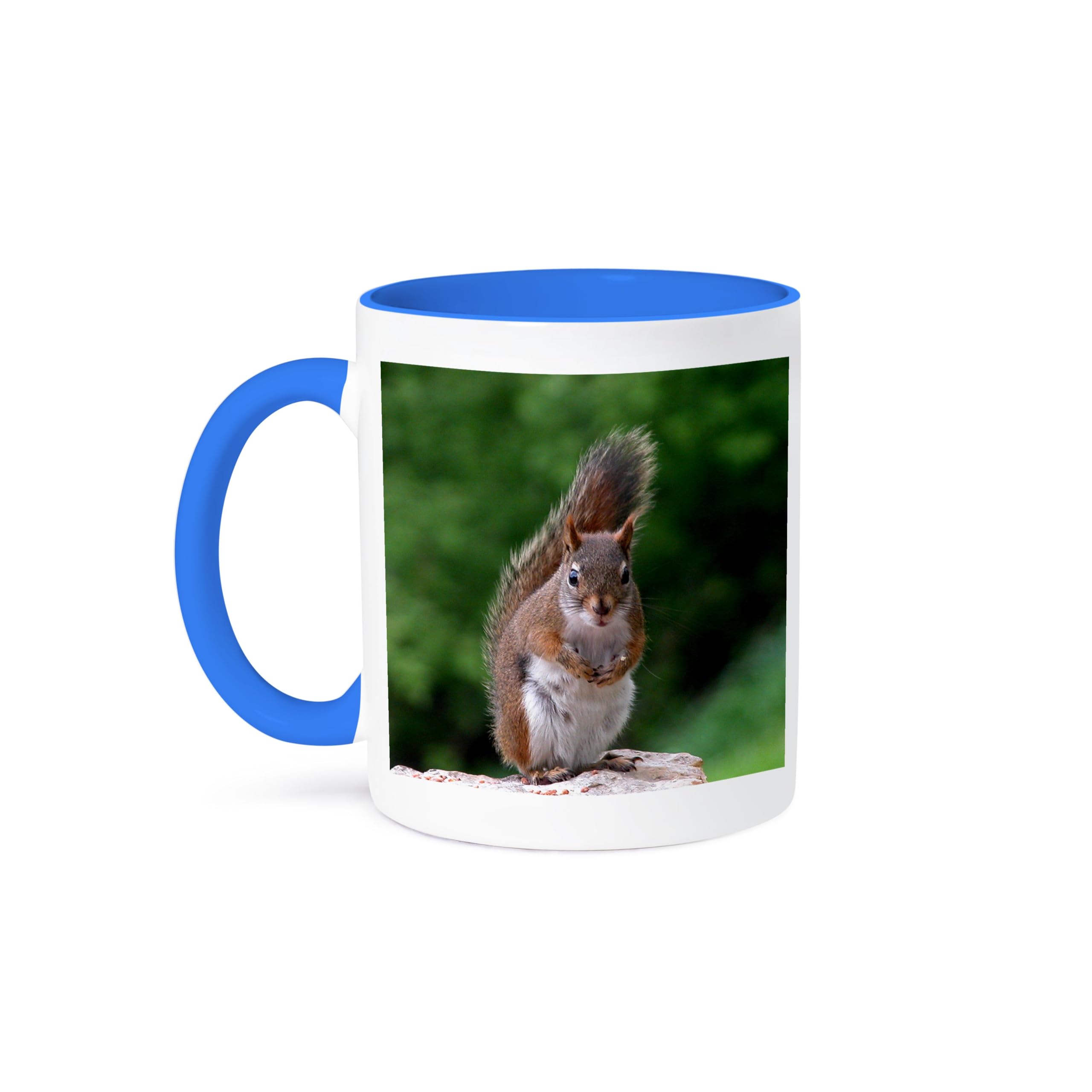 3dRose Funny Red Squirrel Ceramic Coffee Mug - Blue & White Design | Perfect for Office, Home Use & Gift Giving