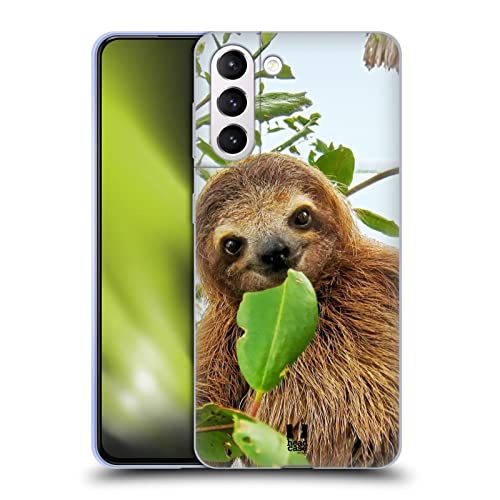 Three Toed Sloth