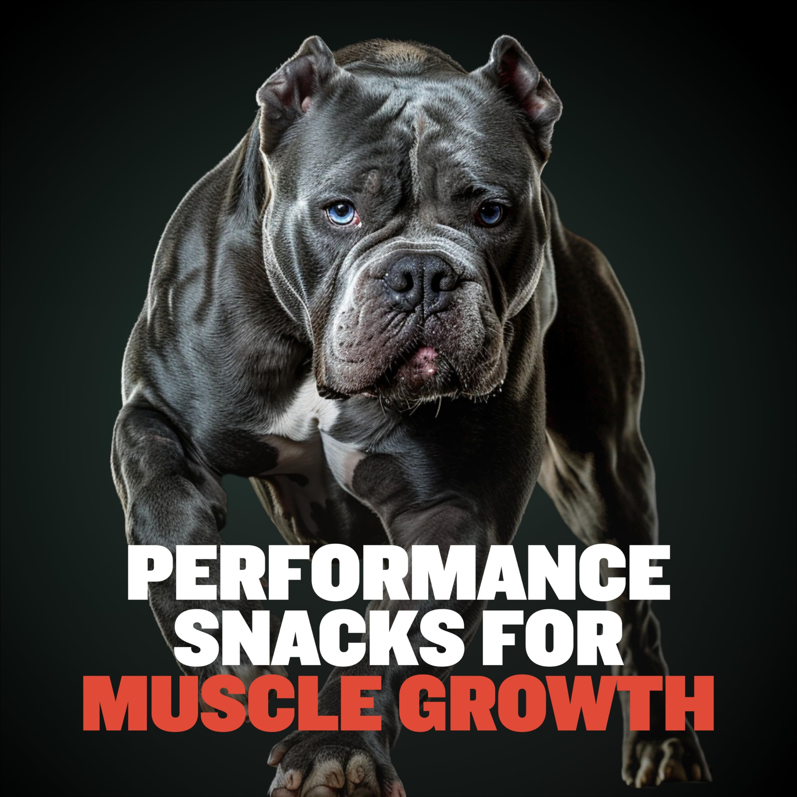 Bully Max High Protein Dog Treats - 32% Protein, Real Meat & Veggies for Puppy & Adult Dogs - Beef Flavor Training Treats for Small, Medium & Large Breeds - Perfect for Obedience Training & Rewards - 400g Bag