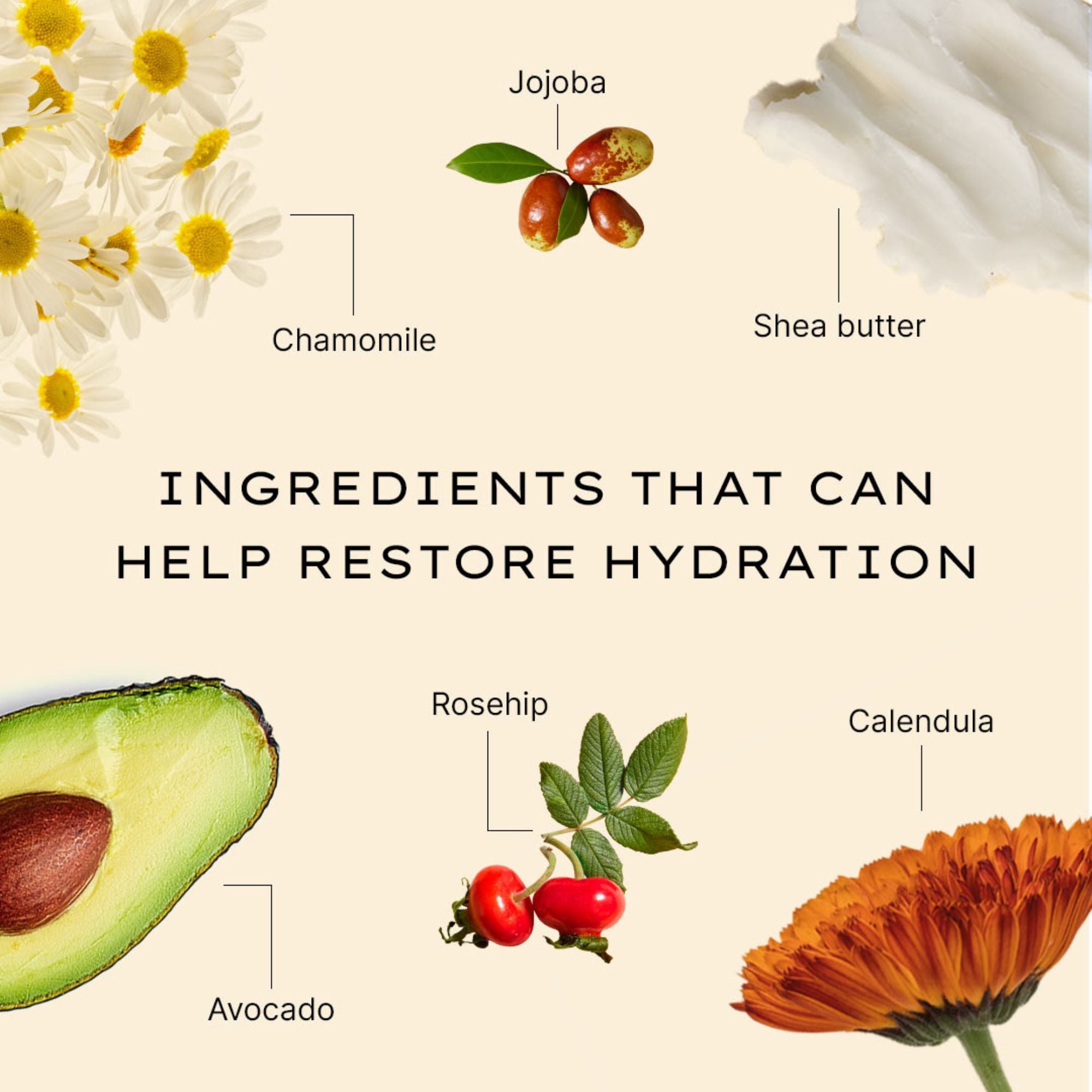 Hydrating Moisturizing Day Cream for Dry Skin - Anti-Aging & Nourishing Face Cream with Hyaluronic Acid & Vitamin E - Perfect for Daily Skincare Routine & Makeup Prep